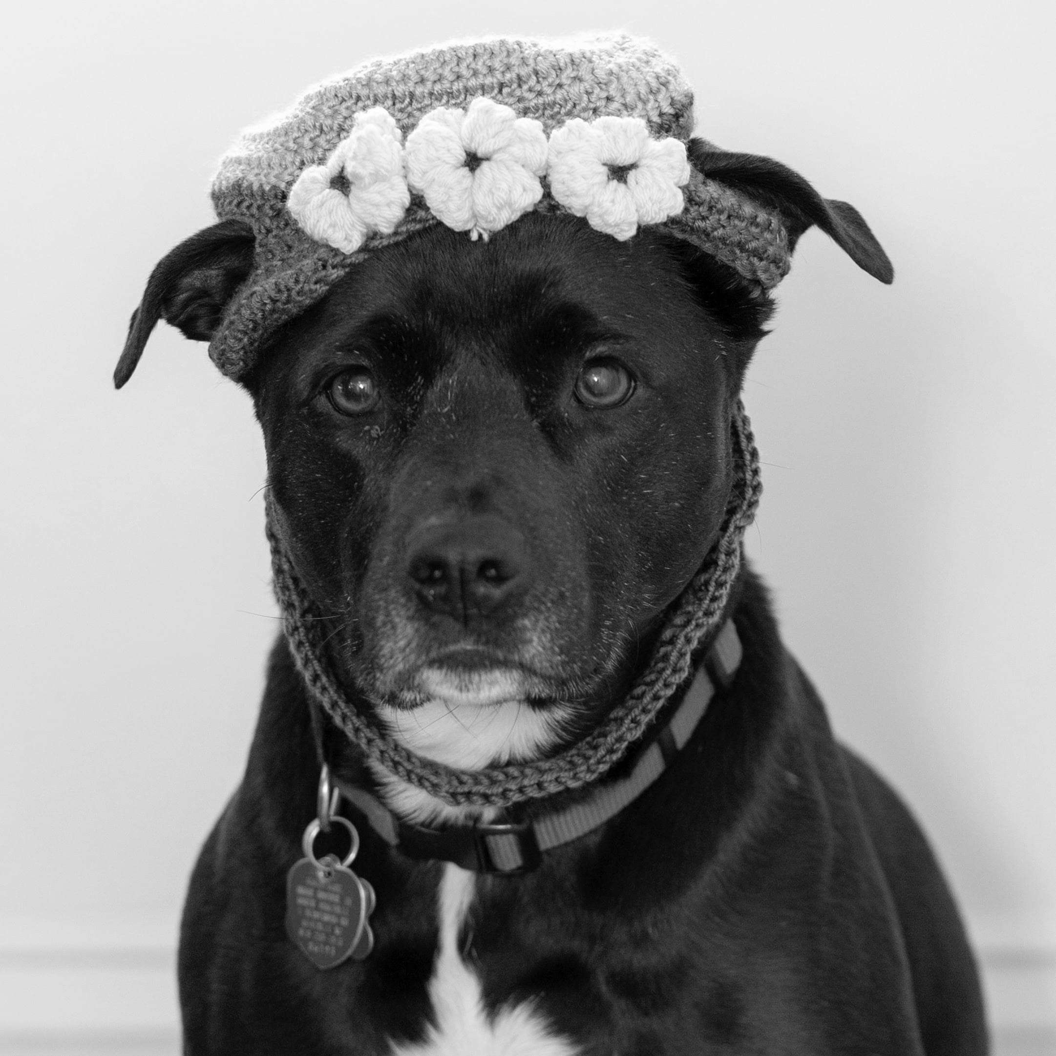 Juno